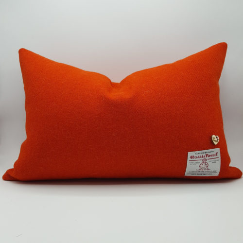 Burnt Orange Rectangular Cushion Front