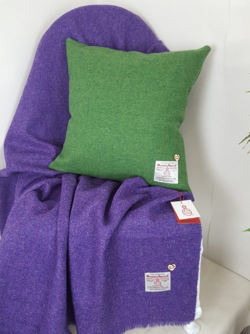 Mid Green Cushion and Purple Throw