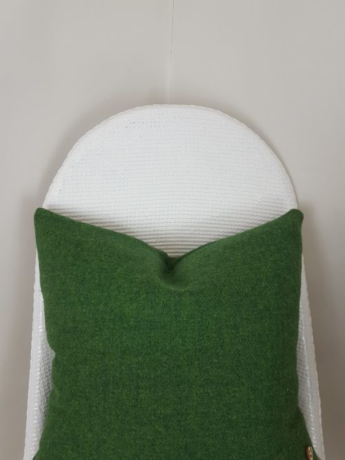 Mid Green Cushion