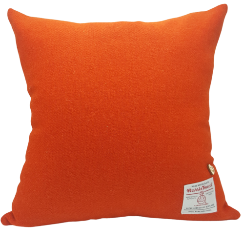 Burnt Orange Cushion Cover