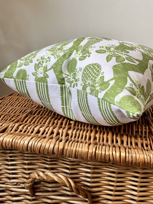 Cushion in Crisp Green with Ribbon Stripe Backing from Orchard Fruits Collection by Lucy Wagtail Interiors